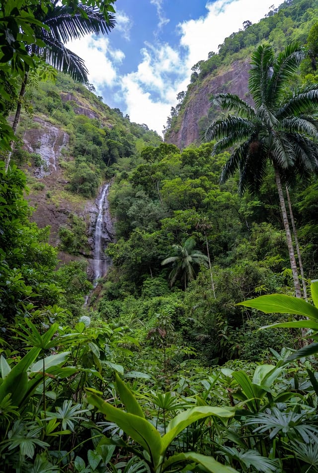 Home and Art Magazine: Dominica