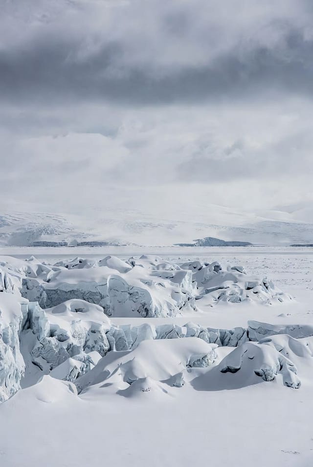 Home and Art Magazine: Antarctica